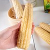 农道大叔 云南香甜宝宝糯玉米4斤 颗粒饱满 农家自种 非转基因 老少皆宜 72小时发货（果蔬生鲜签收24小时内保留完整包装面单可售后，超时不予理赔，拍下默认接受） 商品缩略图3