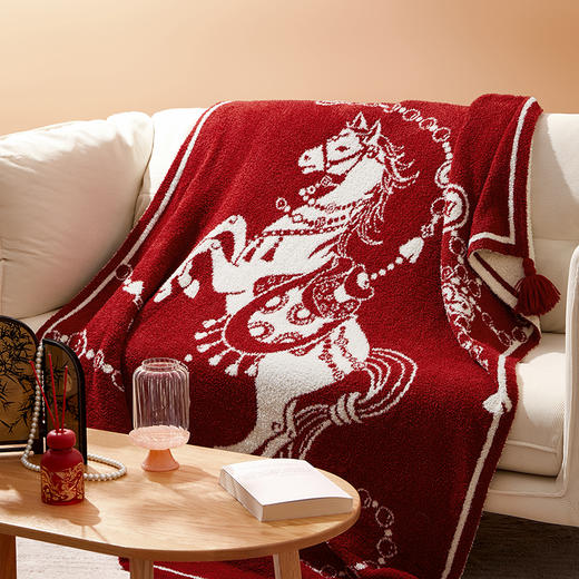 【故宫家居】千金裘马年毛毯半边绒沙发毯子午睡毯文创新婚生日礼物 商品图4
