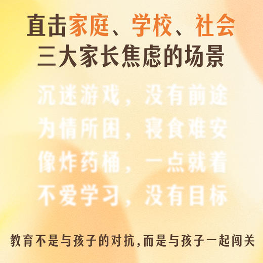 陪孩子闯三关（家庭关、学校关、社会关，他曾帮数千名孩子绽放自我，如今陪你的孩子勇闯三关。马未都、王芳推荐） 商品图1