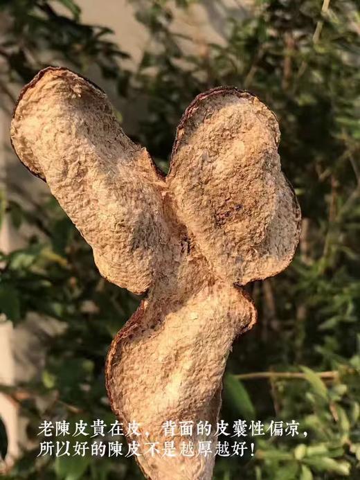 六年老陈皮60g 商品图6