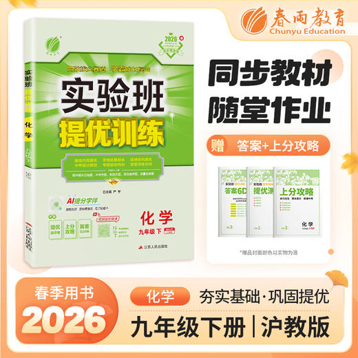 【沪教版】2026实验班提优训练 九年级化学(下) 商品图0