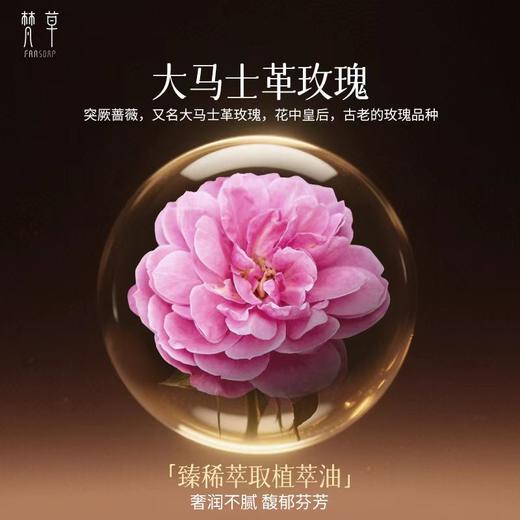 梵草玫瑰精华油 商品图2