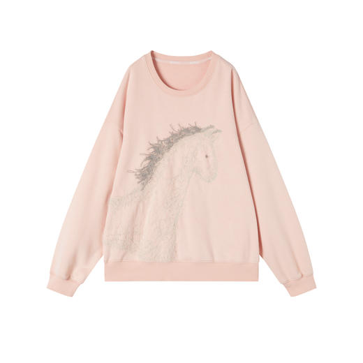 谜底卫衣长袖2025冬季新品抓毛卫衣小马绣花柔软亲肤女254MV1483 商品图4