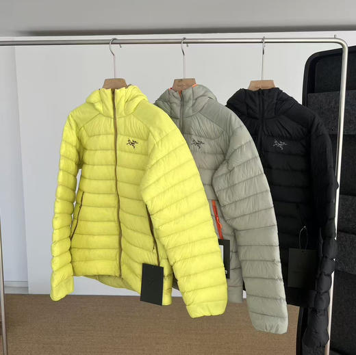 越南产原单鸟家 Cerium hoody鹅绒轻便羽绒服 商品图8