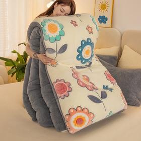 冬季棉被单人双人双面羊羔绒被子加厚保暖雪花绒家用宿舍被芯