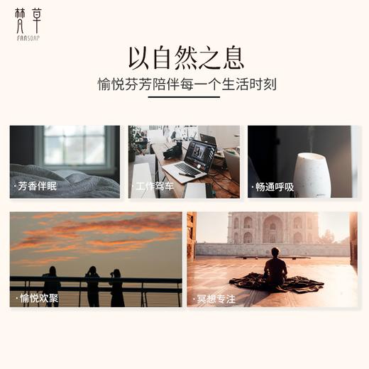 香薰精油系列【愈己/橘薏/松间/清净】 商品图2