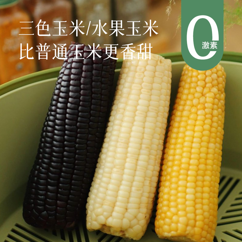 【新增敖汉水果玉米 肯德基同款】【黄糯玉米/敖汉甜糯玉米/黑糯玉米】比普通玉米更甜更香，属于糯玉米的口感，嚼起来有韧性，也不会过分夸张的粘腻，吃起来香甜软糯~