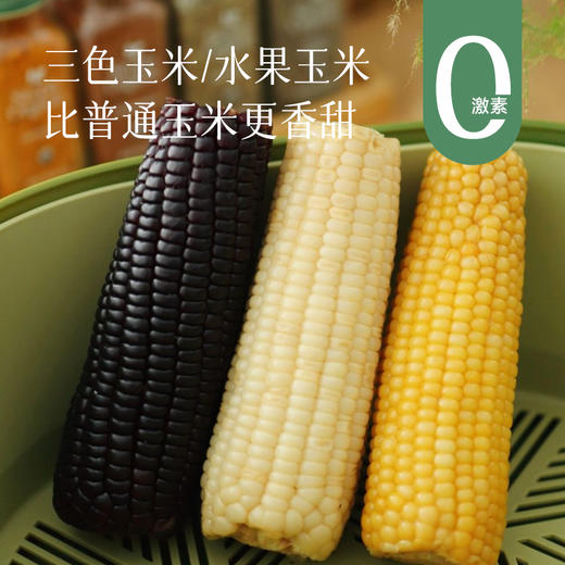 【新增敖汉水果玉米 肯德基同款】【黄糯玉米/敖汉甜糯玉米/黑糯玉米】比普通玉米更甜更香，属于糯玉米的口感，嚼起来有韧性，也不会过分夸张的粘腻，吃起来香甜软糯~ 商品图0