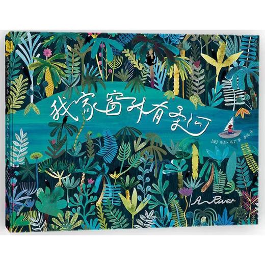 【独家旧书3折】精装儿童绘本 我家窗外有条河 二手书籍（新疆 西藏 甘肃 青海 海南不包邮）bj 商品图0