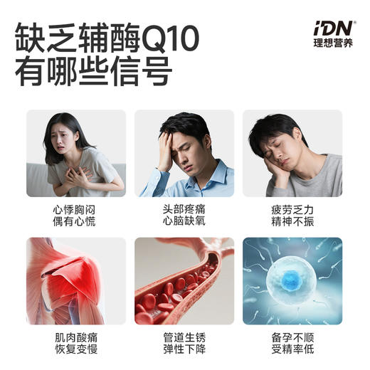 【新品上市】IDN理想营养 | 还原型辅酶Q10 120粒/盒（跨境海淘商品不支持7天无理由退换） 商品图2