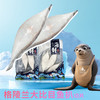 【200积分+99元】西陇鲜 格陵兰比目鱼切片(庸鲽鱼) 220g/袋 肉厚刺少 商品缩略图2