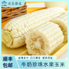 牛奶珍珠水果玉米，入口清爽 回味甘甜 商品缩略图0