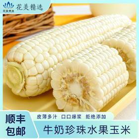 牛奶珍珠水果玉米，入口清爽 回味甘甜