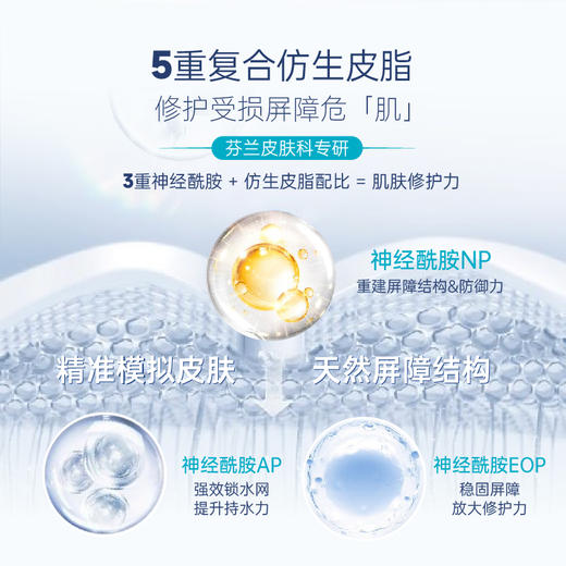 艾欧兰CeralanPlus  特护乳 三重神经酰胺  屏障受损肌 100g 商品图3