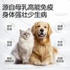 犬猫通用营养补充剂 乳铁蛋白生机营养膏 商品缩略图5