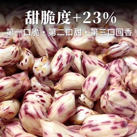 云南老品种七彩花生400g 原味/咸干味 人工挑选 颗粒饱满 商品图3
