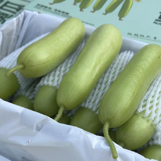 奶油小黄瓜【2斤装】~嘎嘎新鲜，嘎嘎爽脆，干燥季节补水神器。 商品图4