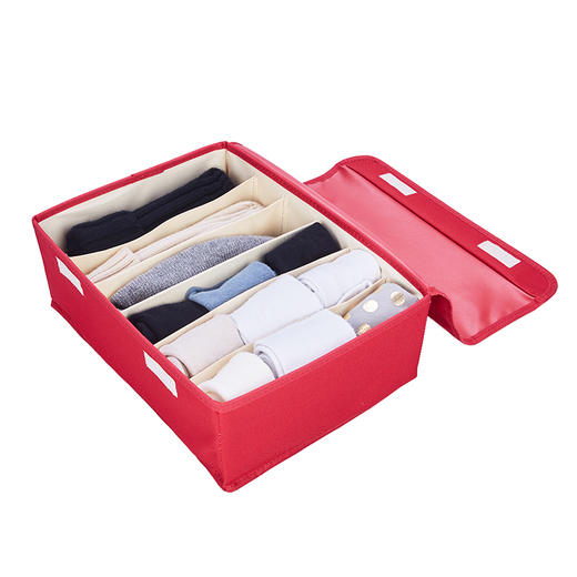 ANCHOW 安巢百纳箱/内衣6格收纳盒AJ288—rxs 商品图7