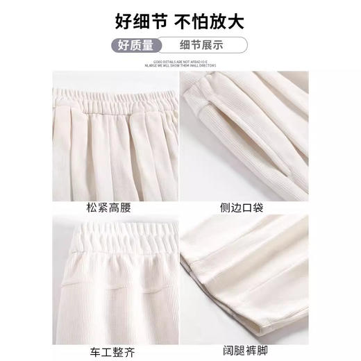 婴儿绒慵懒山本裤 遮胯遮腿 修饰班型 咖色山本裤女秋季2025新款加绒直筒宽松大码慵懒休闲小个子阔腿裤 商品图2