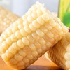农道大叔 云南香甜宝宝糯玉米4斤 颗粒饱满 农家自种 非转基因 老少皆宜 72小时发货（果蔬生鲜签收24小时内保留完整包装面单可售后，超时不予理赔，拍下默认接受） 商品缩略图4