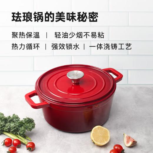 施耐福圆形铸铁锅(18cm/20cm) 商品图1