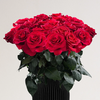 厄瓜多尔进口原色玫瑰妈妈咪呀Mamma Mia鲜切花10支 商品缩略图0