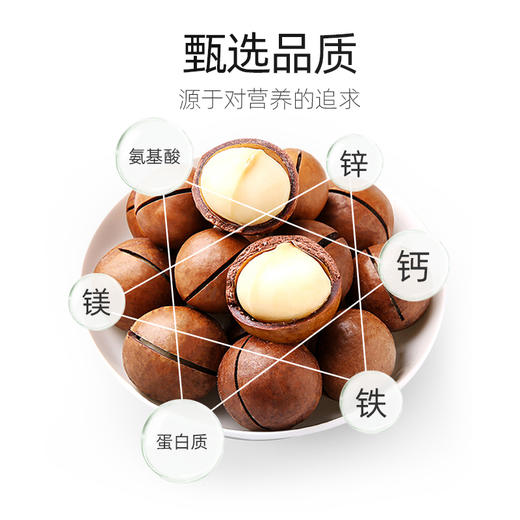 新农哥大颗粒夏威夷果450g/罐奶油味干果仁孕妇坚果【买一送一】 商品图5