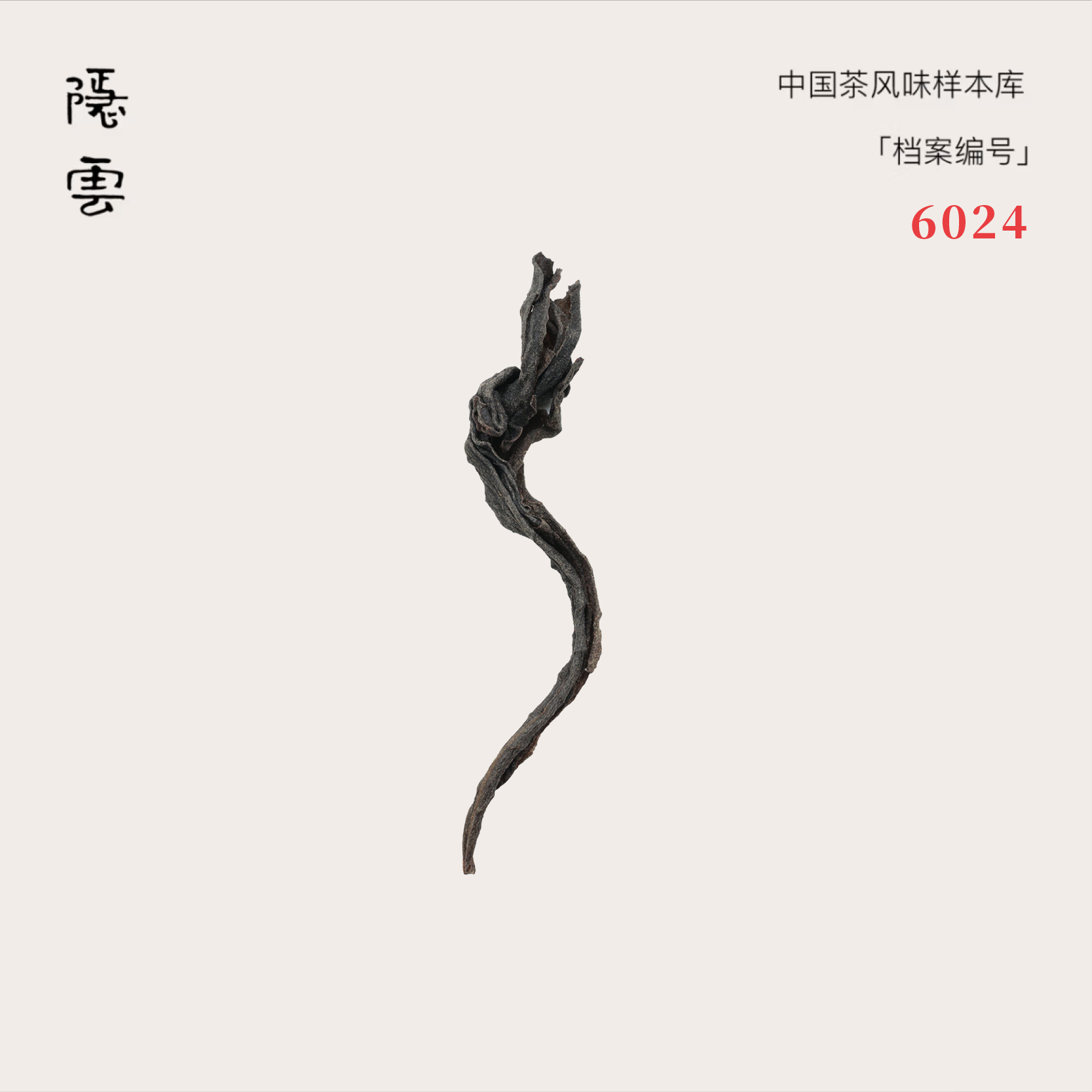 山和｜2024年武夷岩茶