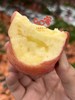 甘肃高糖秦脆苹果 商品缩略图1