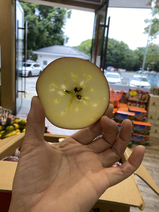 宏丰精选 大凉山野生苹果  口感甜脆 苹果味浓郁 活动价‼️‼️6.8元一斤 商品图1