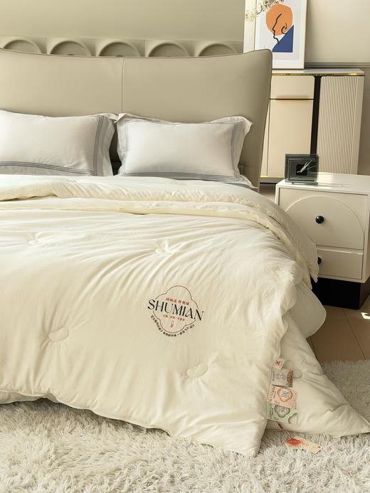 秋冬大豆子母被 柔软保暖四季可用被芯 商品图6