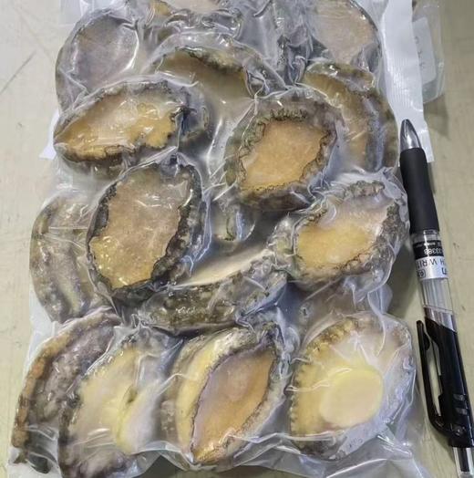 大连长海 壮元海鲍鱼肉（去壳去内脏8分熟） 国家级海洋牧场 一类水质  商品图9