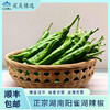 正宗湖南阳雀湖辣椒 商品缩略图0