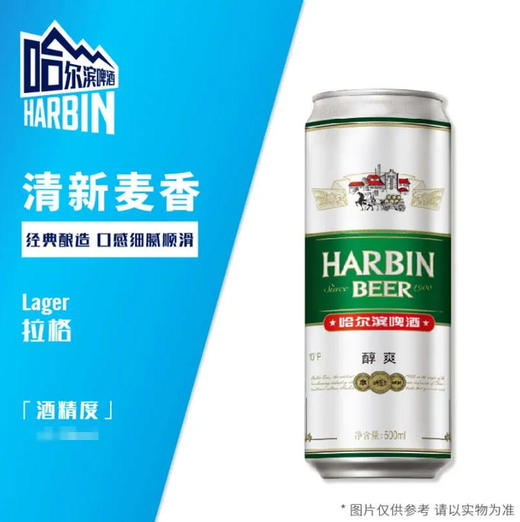哈尔滨啤酒 10°P醇爽啤酒 500ml/听 商品图0