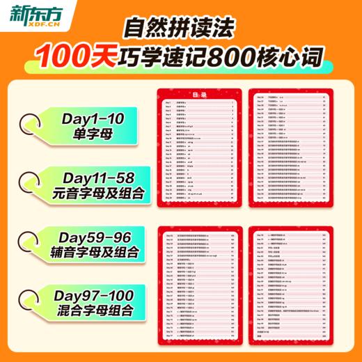 【新东方】小学800核心词100天背诵计划自拼拼读法高效记忆 商品图3