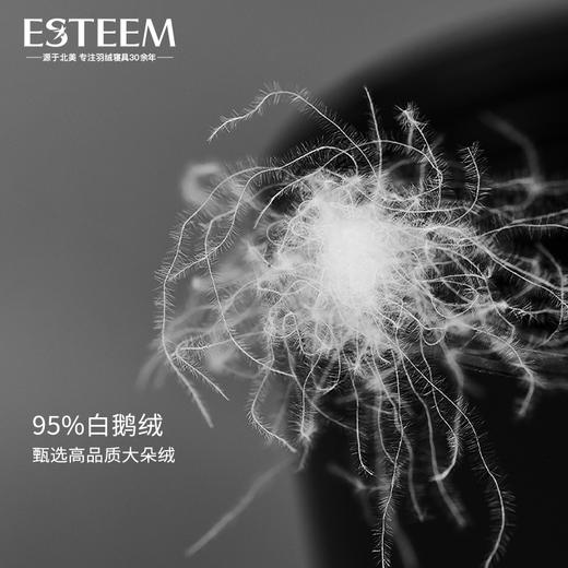 尼尔森95鹅绒拒污PLUS春秋/冬被 商品图1