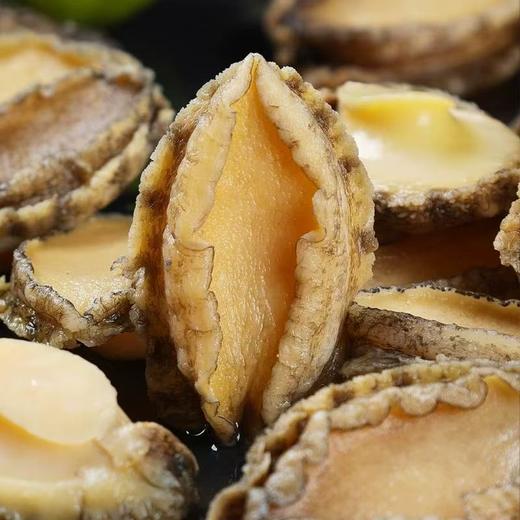 大连长海 壮元海活冻鲍鱼10-12头/斤（完整带壳） 国家级海洋牧场 一类水质 商品图3