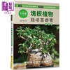 【中商原版】全年度块根植物栽培基础书 畅销版 港台原版 长田研 喷泉文化 商品缩略图0