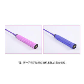 Hodtown何大屋紫金之巅羽毛球拍（单拍）HDW1316—rxs