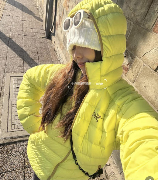 越南产原单鸟家 Cerium hoody鹅绒轻便羽绒服 商品图5