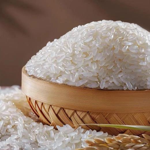 疯抢中！！25年10月新米【五常稻花香2号·有机大米】原产地直发 三标认证PICC承保 执行标准GB/T19266 5/10斤包装 商品图6