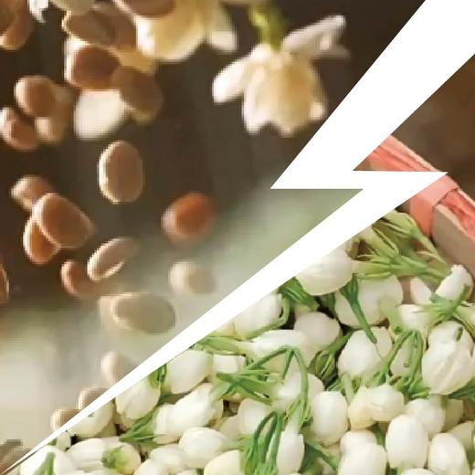 云南咖啡豆茉莉窨保山水洗卡蒂姆手冲浅焙精品新鲜烘焙 商品图2