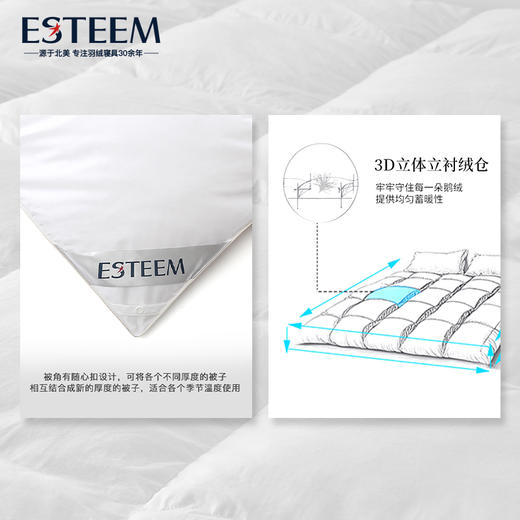 尼尔森95鹅绒拒污PLUS春秋/冬被 商品图5