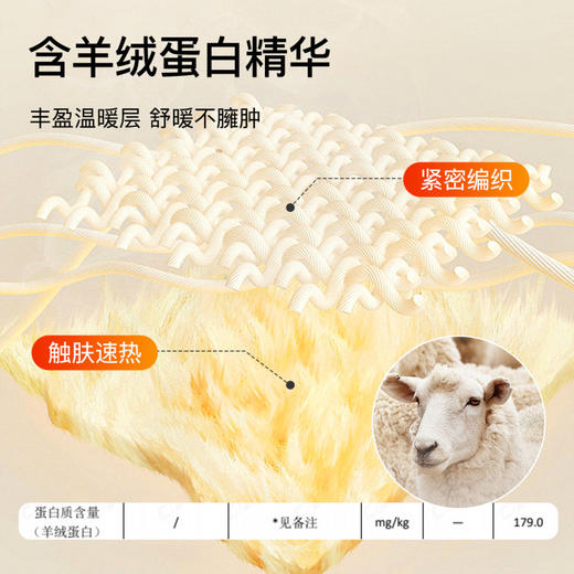 云绒暖域 女士打底套装(VIP)【10A抑菌 云感亲肤】秋冬磨毛圆领打底保暖内衣套装 商品图4