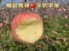 周三取货：【羊奶苹果】一箱毛重7斤左右，松脆细腻，水润清甜，淡淡奶香。 商品缩略图0