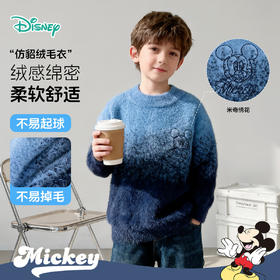 迪士尼男童套头毛衣ZD3ES081