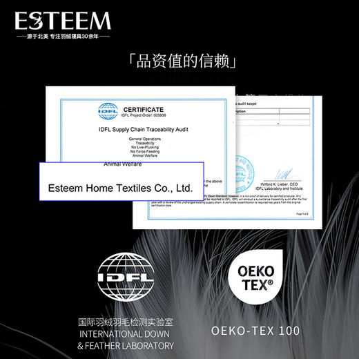 尼尔森95鹅绒拒污PLUS春秋/冬被 商品图4