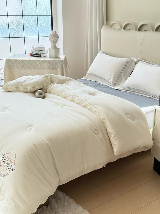 秋冬大豆子母被 柔软保暖四季可用被芯 商品图2