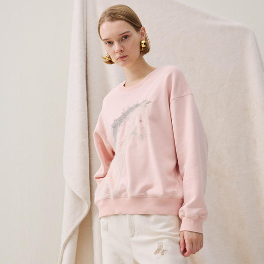 谜底卫衣长袖2025冬季新品抓毛卫衣小马绣花柔软亲肤女254MV1483 商品图1