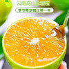 甘甜爽口云南哀牢山青皮冰糖橙5斤礼盒 商品缩略图0
